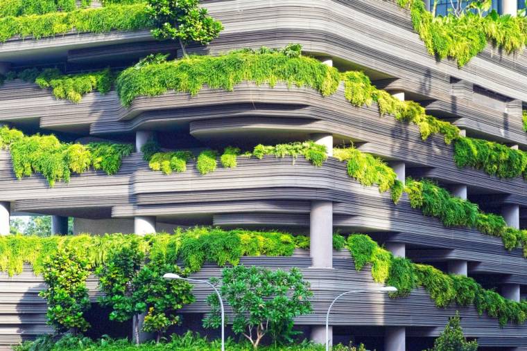 Trend forecast for 2022: Saving the Planet with Eco-Friendly Actions